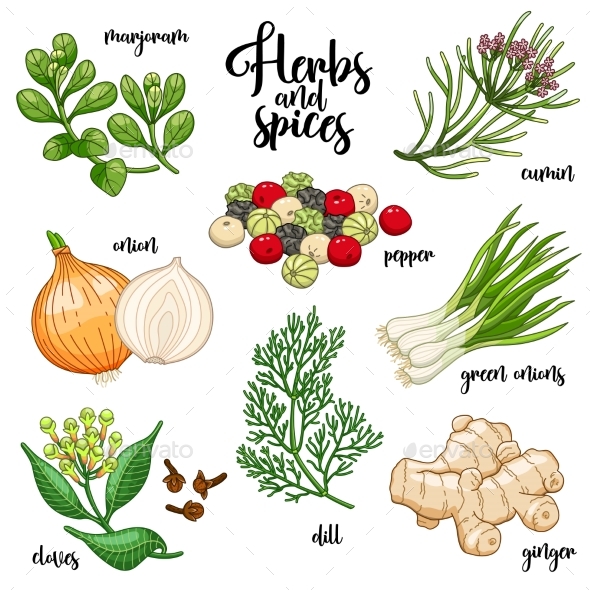 Spices and Herbs Vector Set - Flowers & Plants Nature