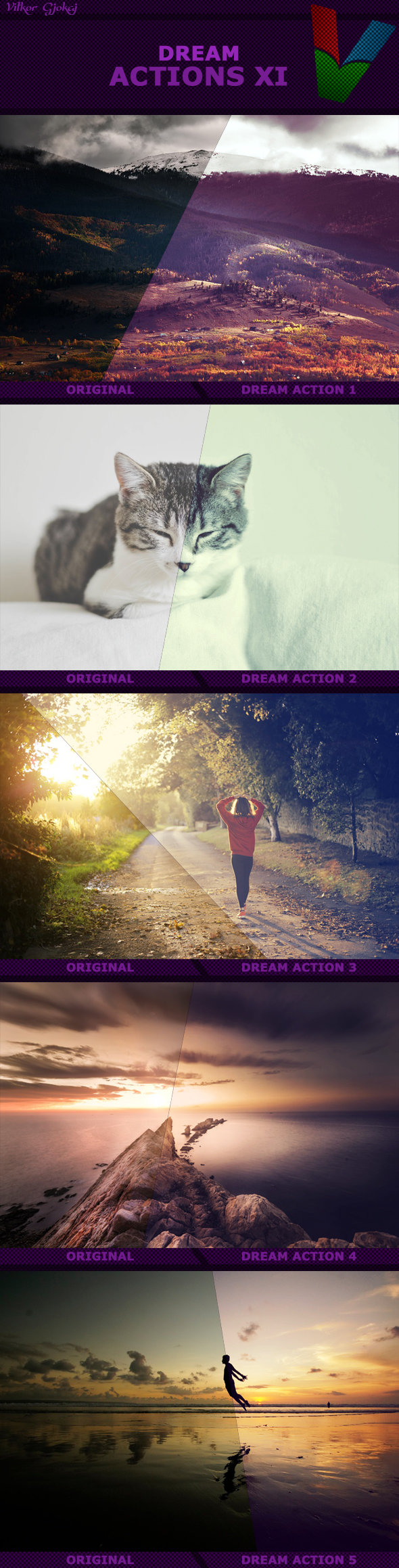 Dream Actions XI