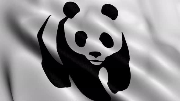 Realistic Fabric Texture Satin WWF Flag Background Video Waving in Wind alt