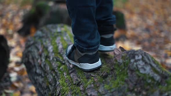 Teenager Feet Step by Step Walking on Fallen Tree Log in Autumn Forest 