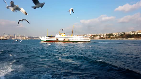 Seagulls Over Bosphorus With Ferry Passing By