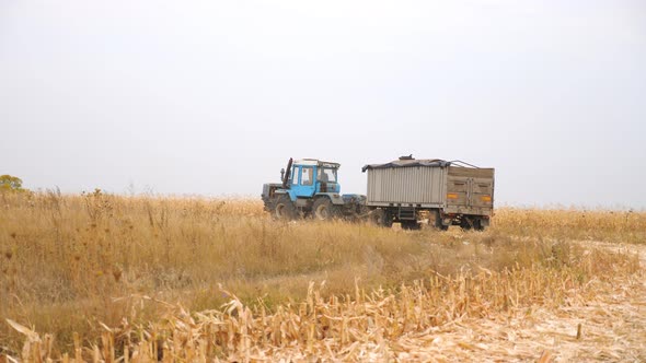 Big Cargo Tractor Transporting Gathered Crop at Field alt