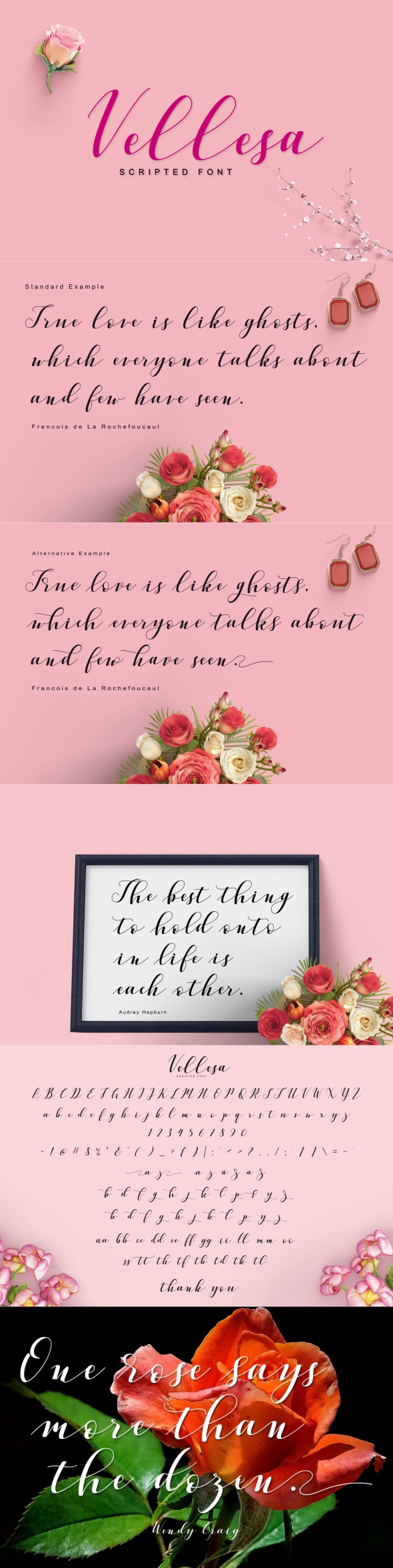 Vellesa Script - Script Fonts