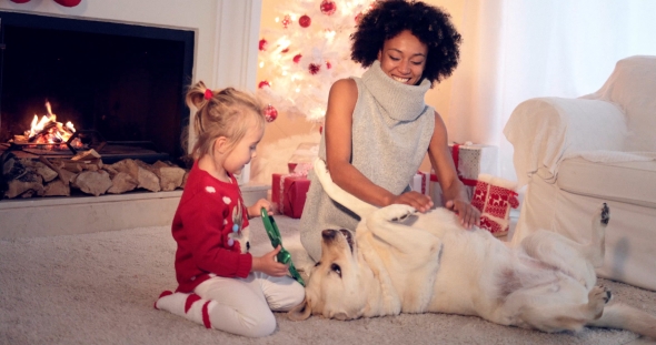Mom and Daughter in Sweaters Play with Pet Dog alt