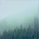 Mist Passing Over Mountainside Trees - VideoHive Item for Sale