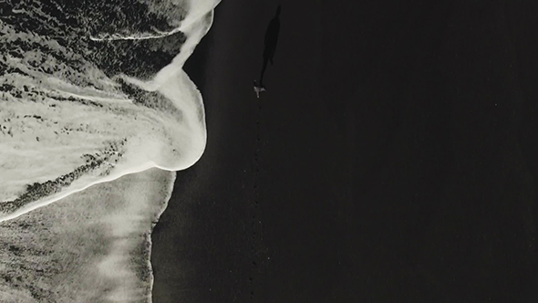 Reynisfjara Coast, Iceland. Black Sand Beach alt