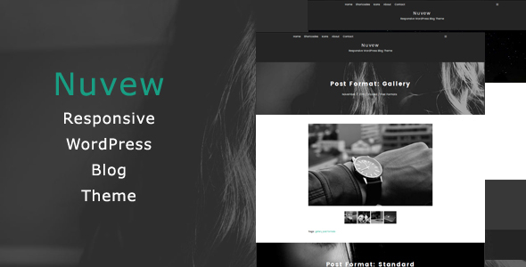 Nuvew - Responsive WordPress Blog Theme by mcnika | ThemeForest