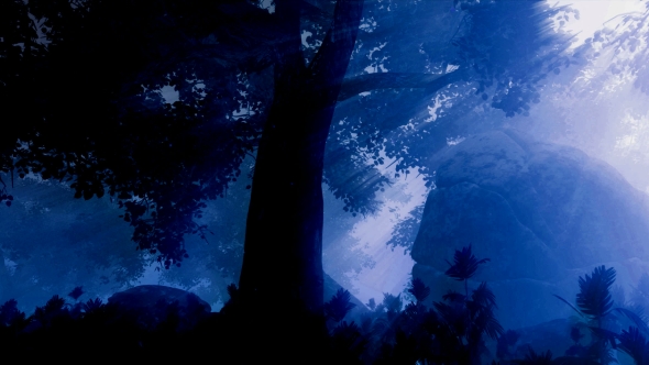 dark woods at night hd dark woods at night hd