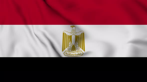 Egypt flag seamless closeup waving animation