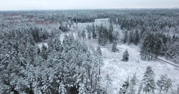 Aerial View of Snowy Forest at Winter