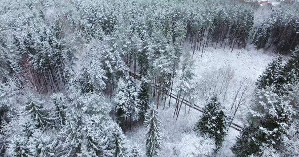 Aerial View of Snowy Forest at Winter