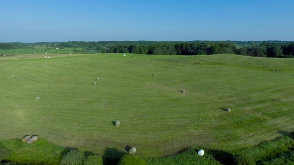 Green Meadows Aerial View