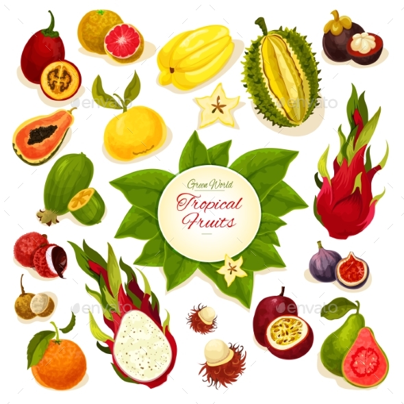 Tropical Fresh Fruits Vector Poster - Food Objects