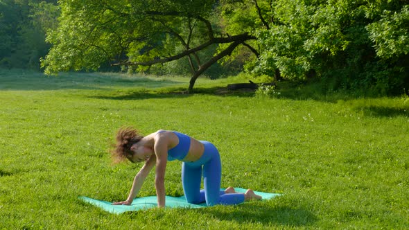 Young Beautiful Girl Doing Fitness Workout on the Grass in the Park alt