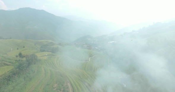 Rice Fields in Fire