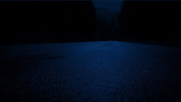 Moving Past Forest Road At Night alt