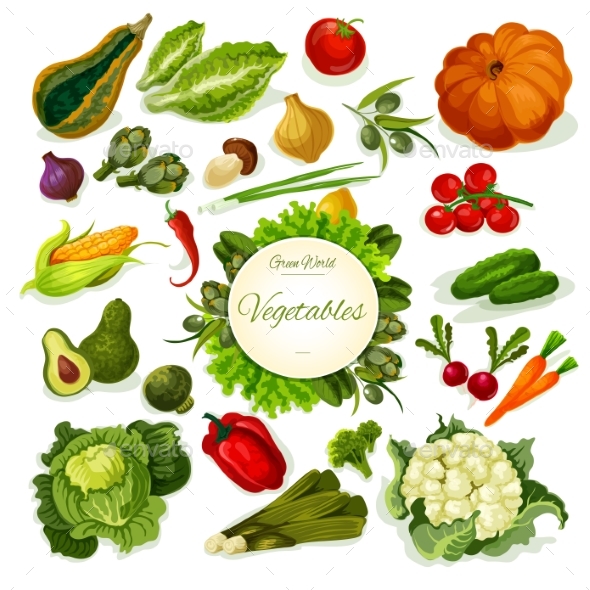 Vegetables Vegan Food Vector Poster - Food Objects