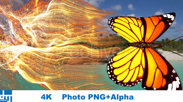 Yellow Butterfly  Particle Trailing Flying Transtion V1