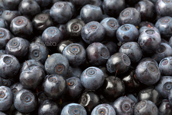 background blueberries - Stock Photo - Images
