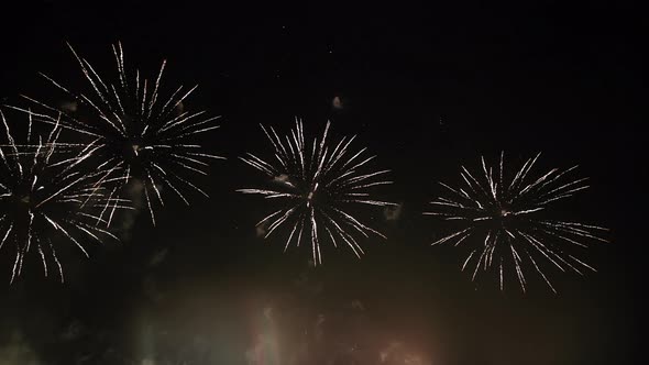 Celebration Greeting Beautiful Fireworks Colourful Fireworks Abstract Background Anniversary alt