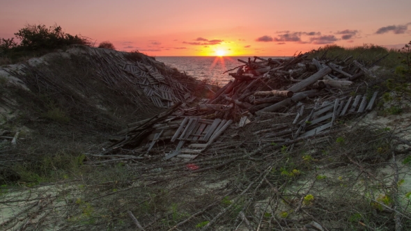 Sunset on the Sea and Dunes Covered with Logs. .
