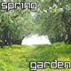 Flowering Spring Garden - VideoHive Item for Sale