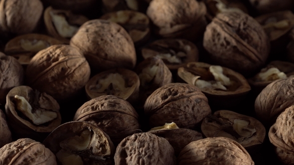 Walnuts in Rotation.