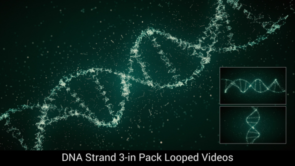 DNA Strand 3-in Pack Looped 4K