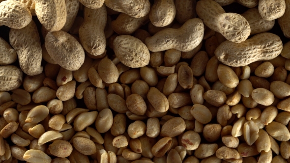 of Shelled Peanuts Rotating.