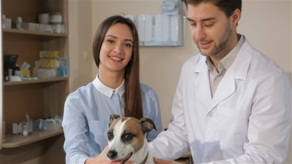 Female Client Shows Her Thumb Up at the Veterinarian Clinic alt