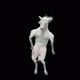 30 White Horse Dancing HD