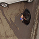 Aerial View of Woman Using Smartphone - VideoHive Item for Sale