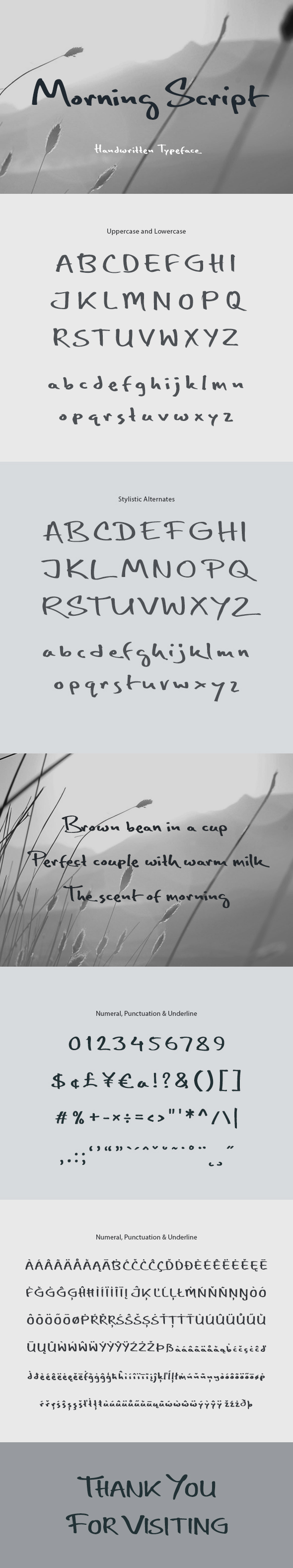 Morning Script Font