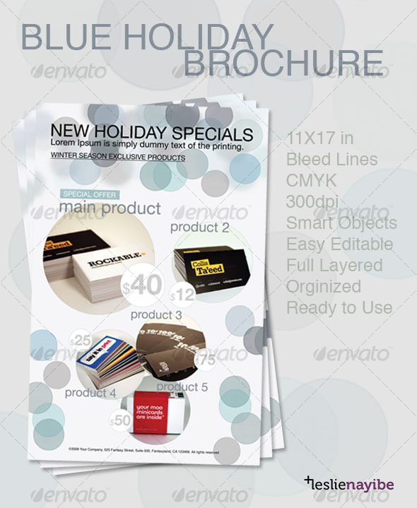 Blue Holiday Brochure - Corporate Brochures