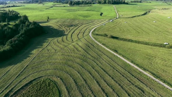 Green Meadows Aerial View