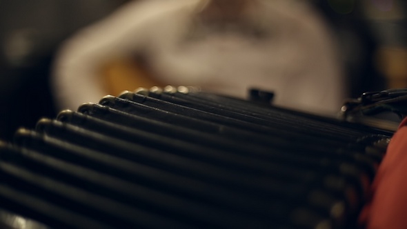 Musician Plays the Accordion alt