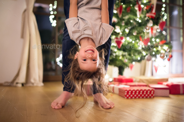 Father with daugter at Christmas tree holding her upside down.