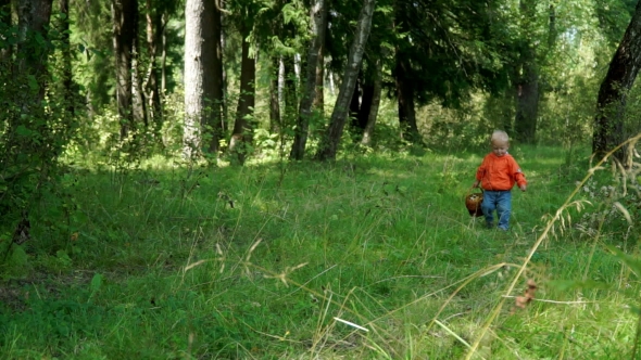 Funny Little Boy of 1.5 Years Bears the Mushrooms in the Basket