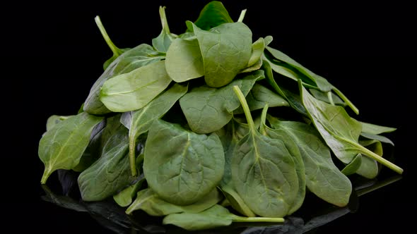 Heap of fresh and green spinach leaves rotating on black background