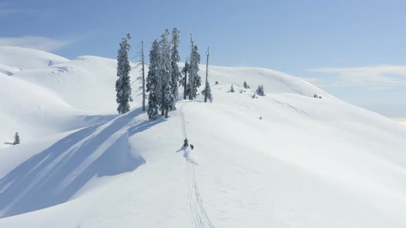 Aerial View Man on Snowmobile Riding Sportsmen on Snowboard in Mountain Field alt