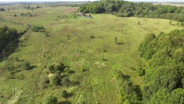 Flying Above Forest at Summer Time