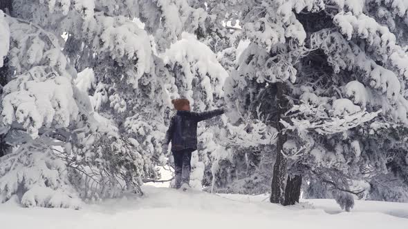 Boy touching snowy trees. alt
