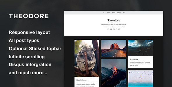 Theodore - A Responsive Gallery Theme - Portfolio Tumblr