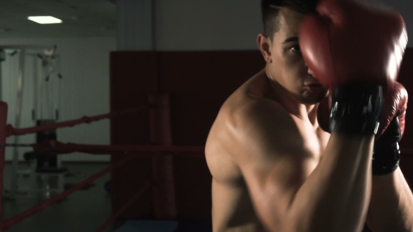 Young Male Sportsman Athlete Training in Boxing Gym