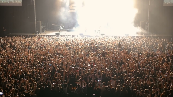 Applause. A Crowd of People at a Rock Concert. Fans Gather in Front of the Performance of a Rock