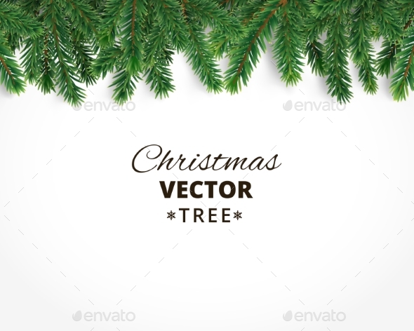 Background With Vector Christmas Tree Branches Background With Vector Christmas Tree Branches