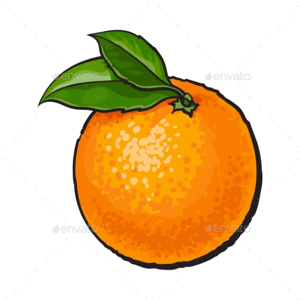 Realistic Colorful Hand Drawn Ripe Orange - Food Objects