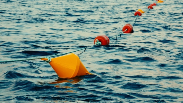 Colored Buoys Floating in a Seaport