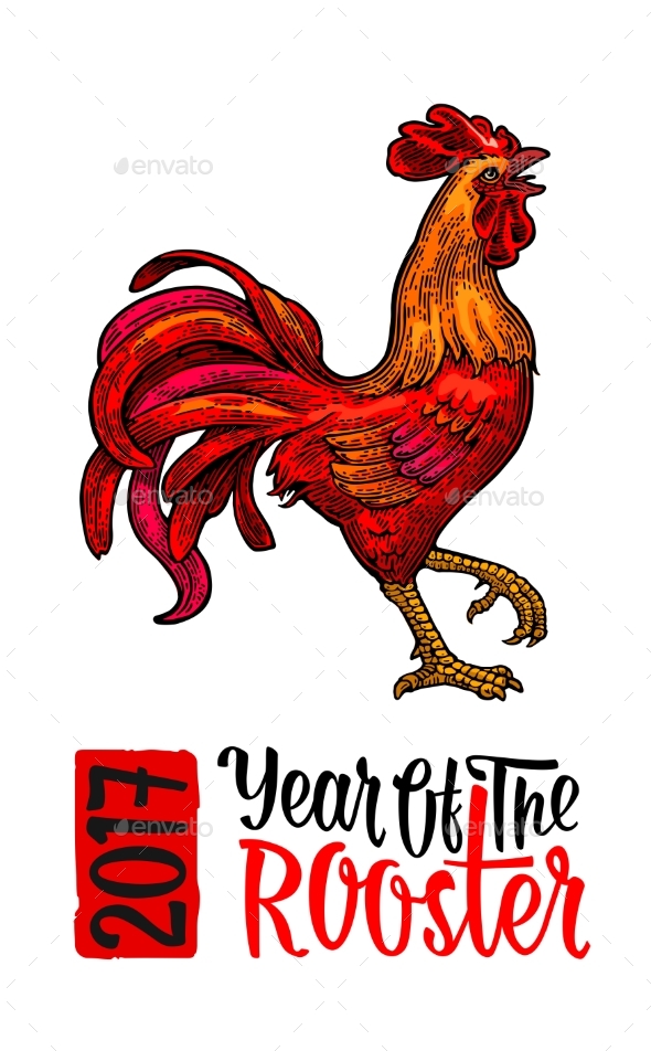 Red Fiery Rooster - Animals Characters