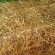 Bale of Hay Tied with String - VideoHive Item for Sale
